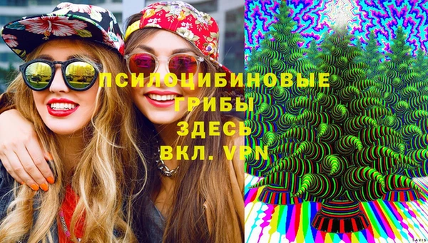 не бодяженный Абаза