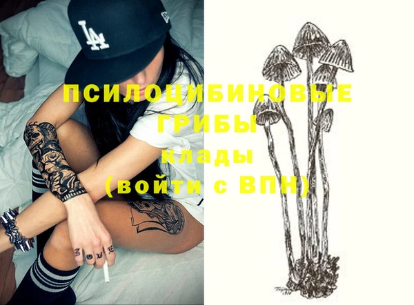 не бодяженный Абаза
