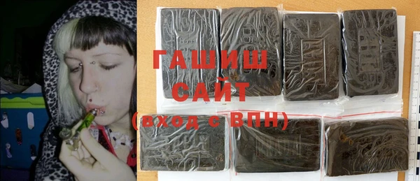 хмурый Алексин