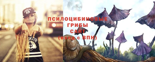 не бодяженный Абаза