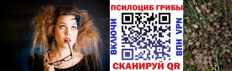 Псилоцибиновые грибы Magic Shrooms Староминская
